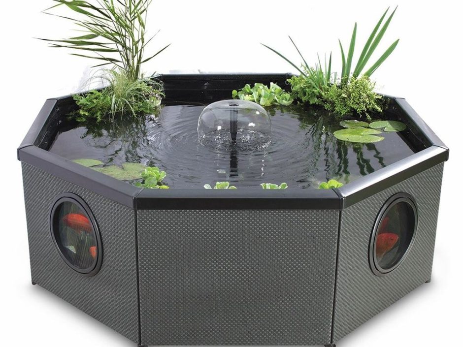 These Pond Accessories Will Be Perfect for Fish Enthusiasts Inspiralist