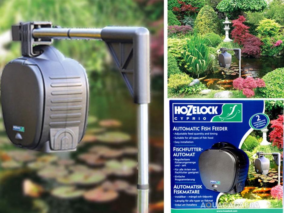 These Pond Accessories Will Be Perfect for Fish Enthusiasts Inspiralist