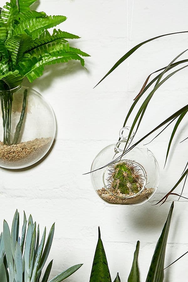hanging glass orb