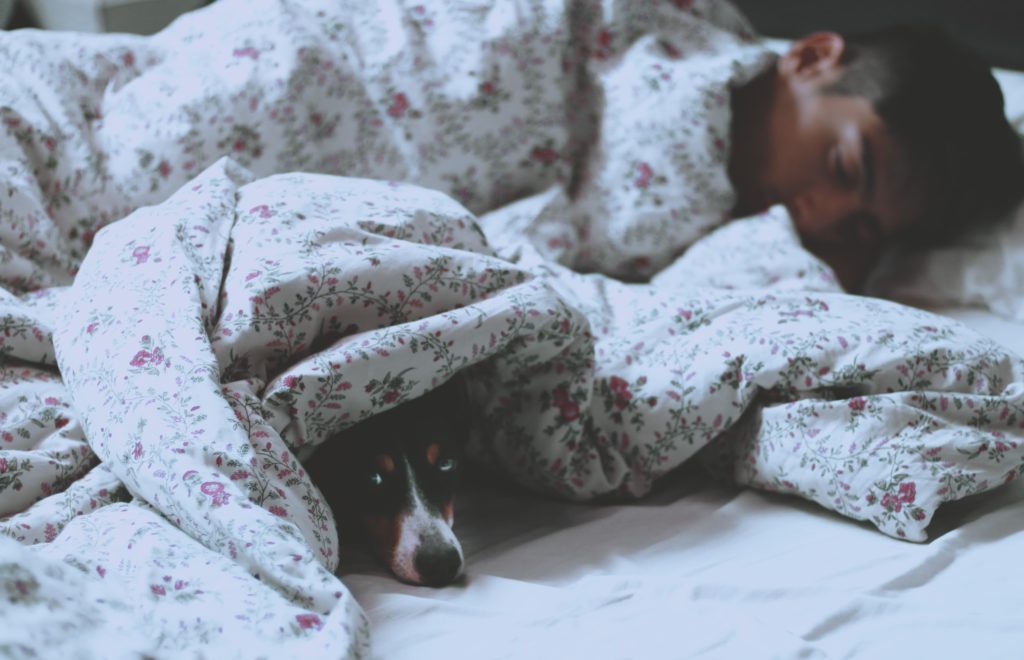 pet owners banished from bed