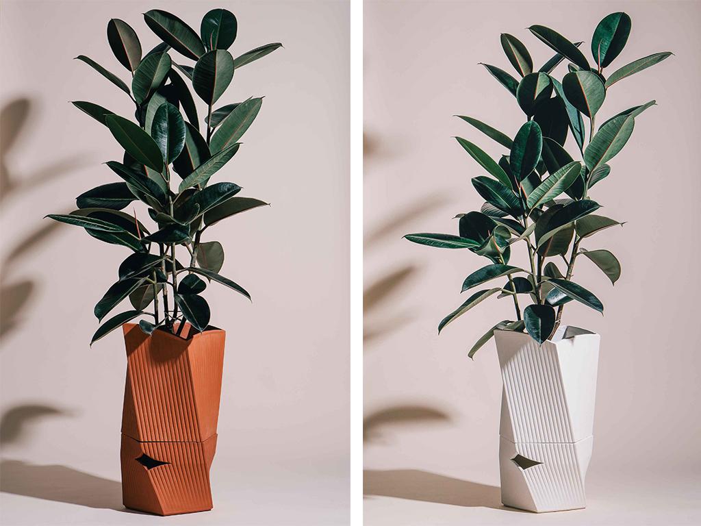 The Carmen Plant Pot Is Here to Keep Your Plants Always ...