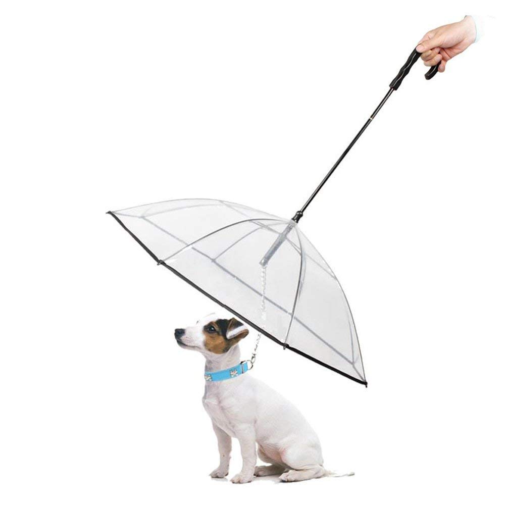 dog umbrella