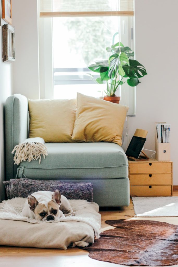 ikea pet furniture range