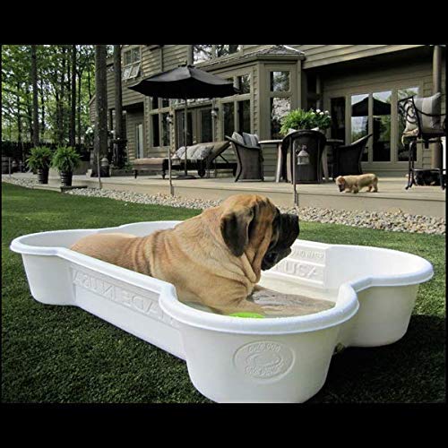 dog bone pool