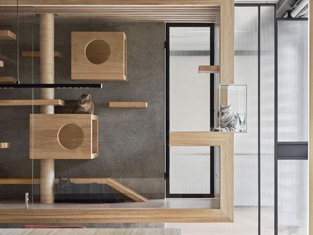 modern cat lounge