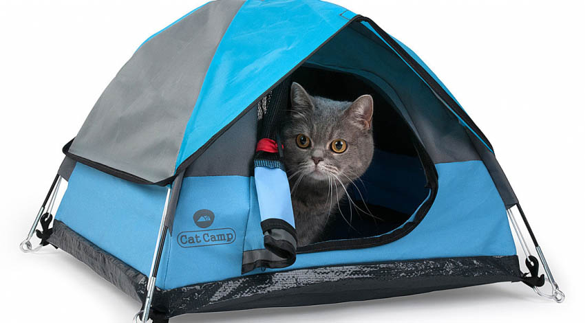 pet tents