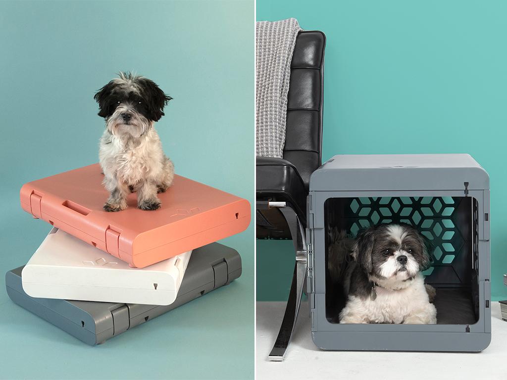 pawd pet crate