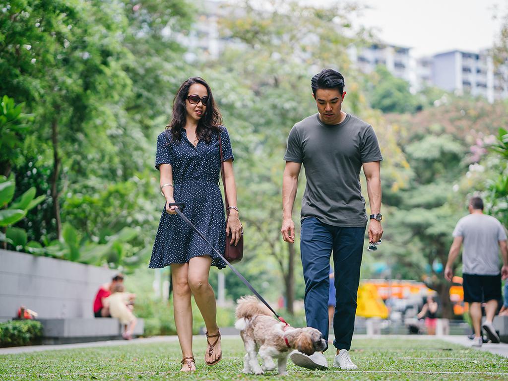dog owner study