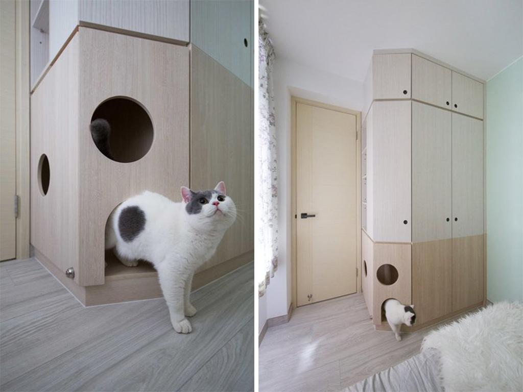 pet playground home