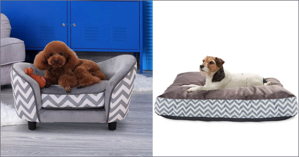 Aldi Has Launched a Stylish Pet Collection at An Affordable Price