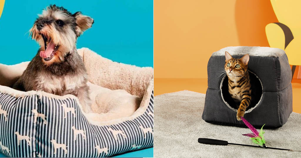 Aldi Has Launched a Stylish Pet Collection at An Affordable Price Inspiralist