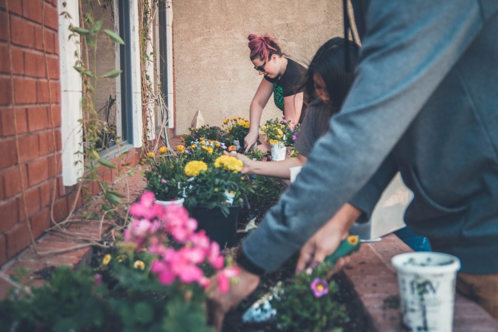 plastic free garden