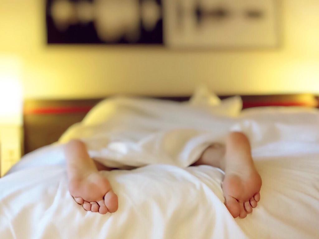 night owls are more intelligent