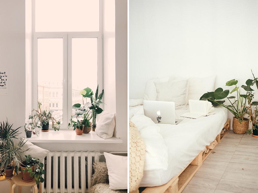 unkillable houseplant ideas