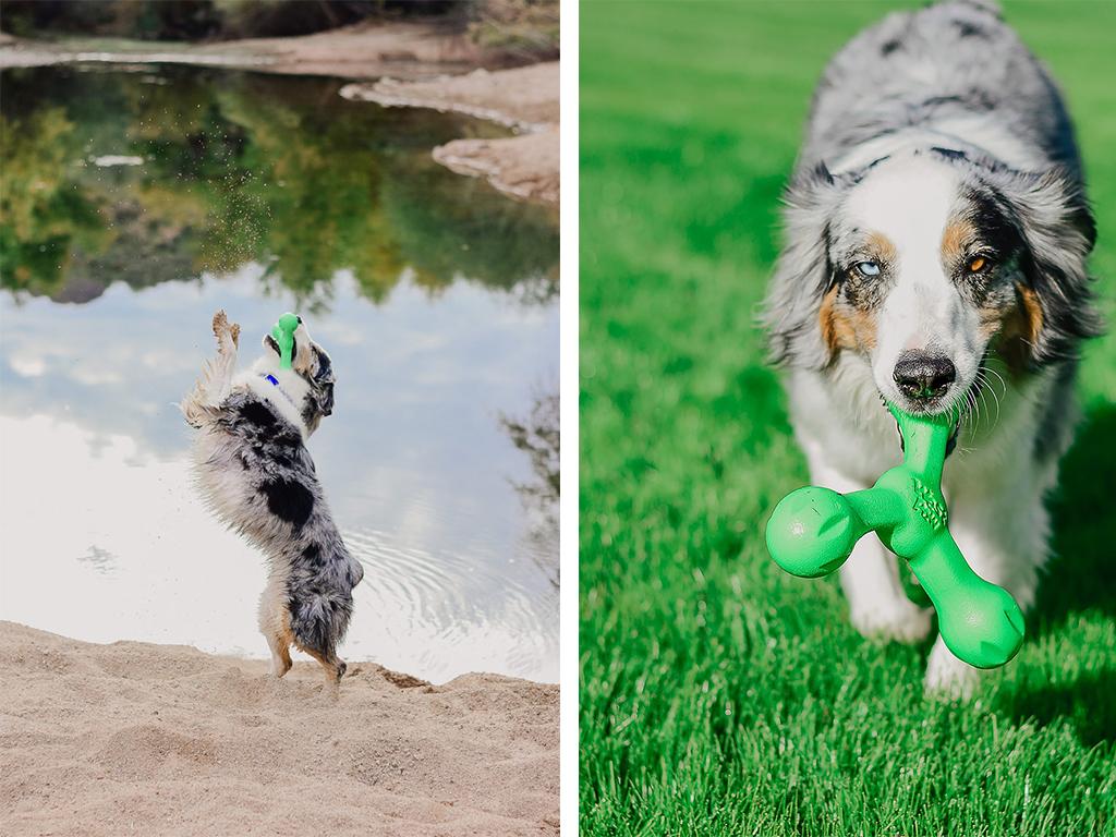 west paw chew toy