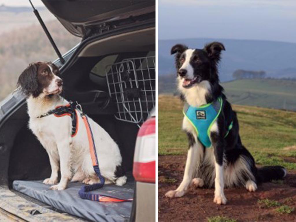 3 peaks dog accessories