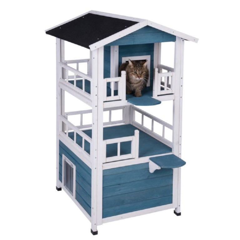 Your Cat Can Now Enjoy a Luxurious Outdoor Apartment with 2 Floors