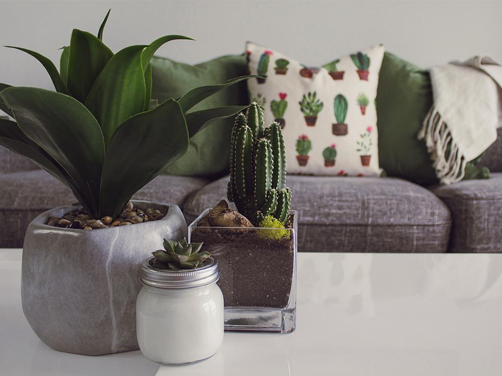2019 home decorating trends