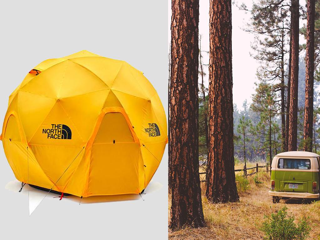 the north face geodome