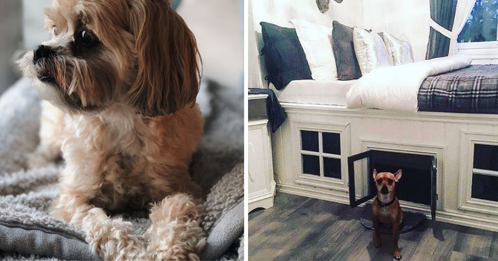 You Can Now Buy a Human Bed With a Dog Bed Underneath | Inspiralist