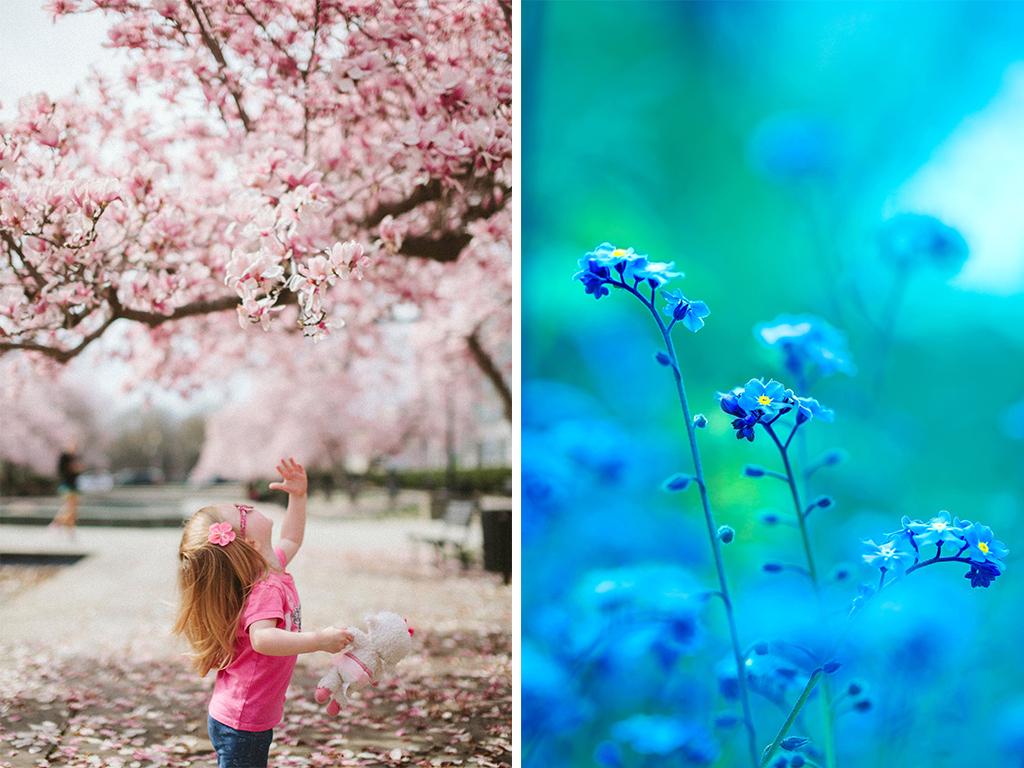 fresh flower research