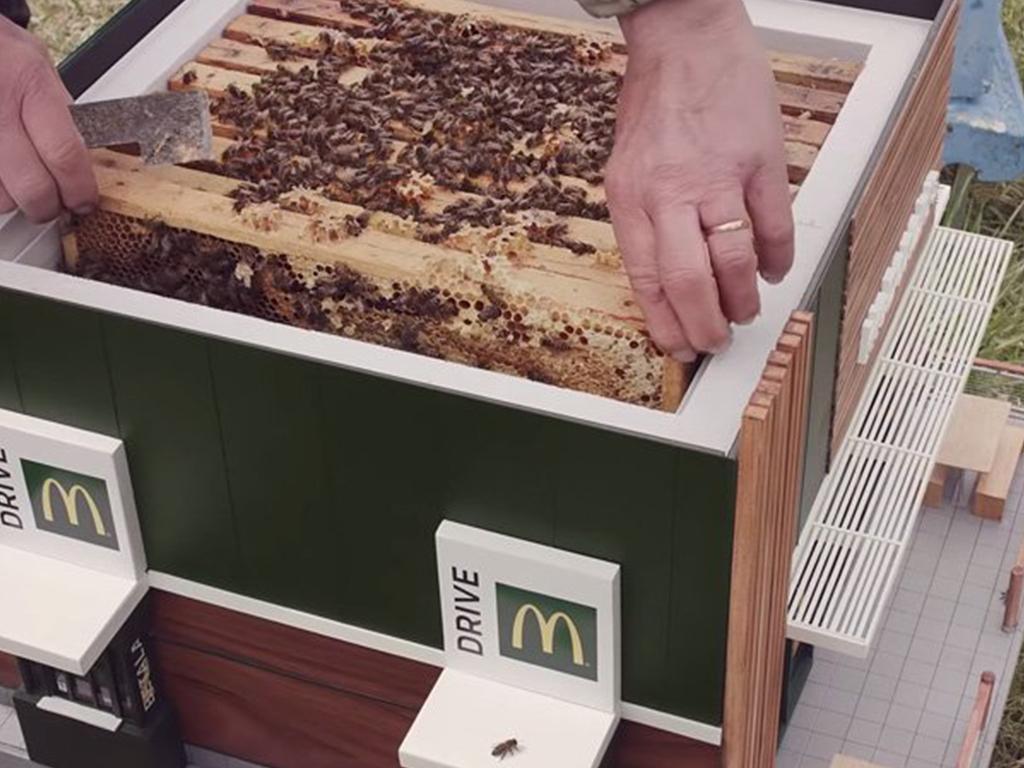 mcdonalds bee hives