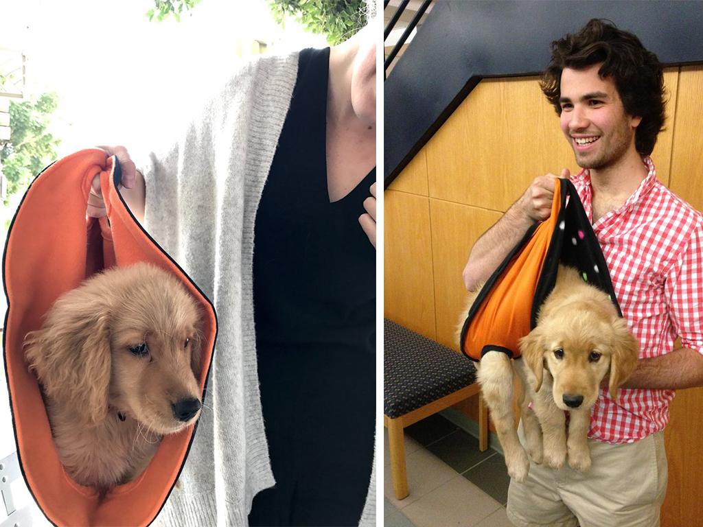 pet pita