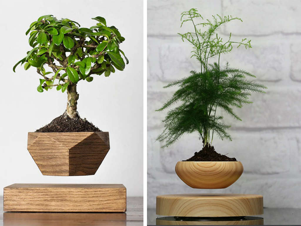 levitating planter