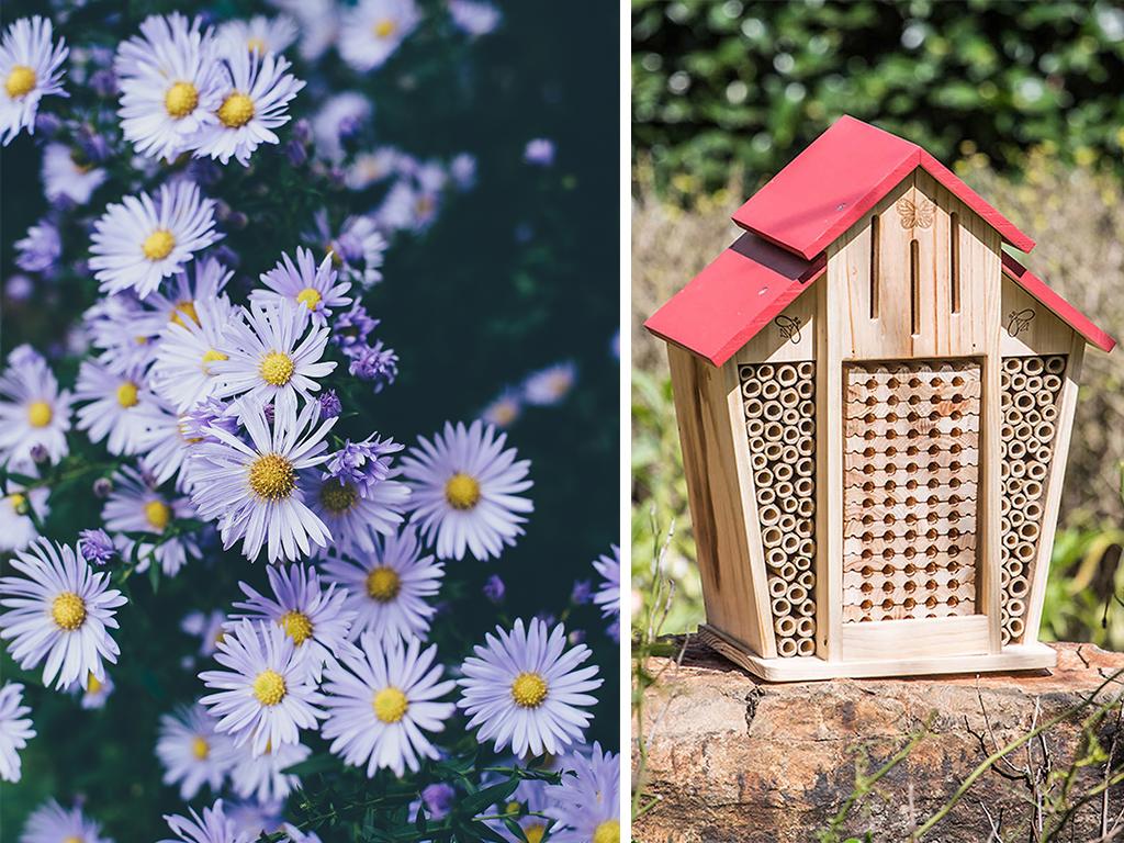 garden bee house