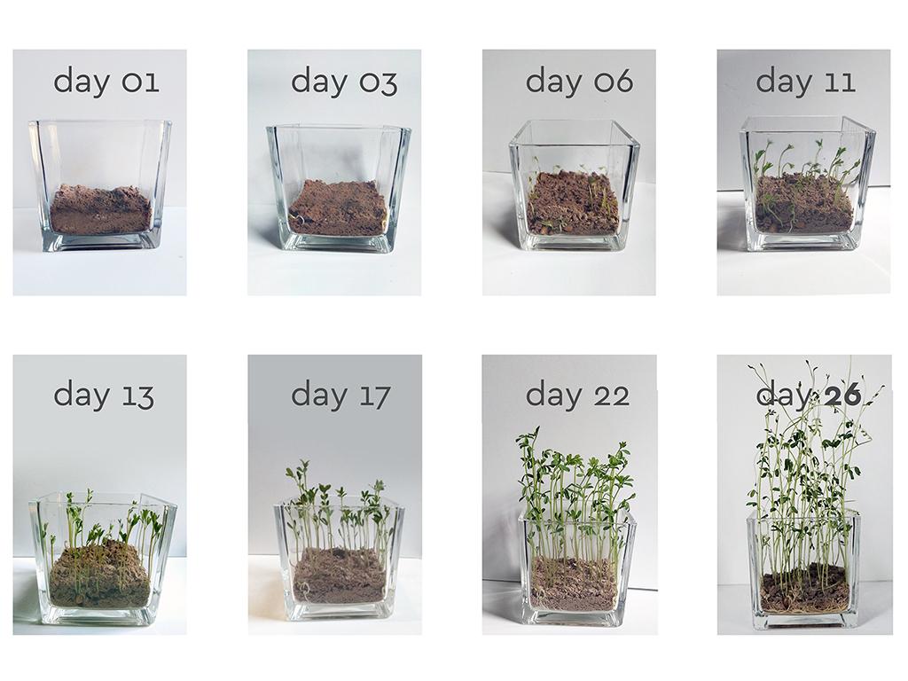 biopack packaging