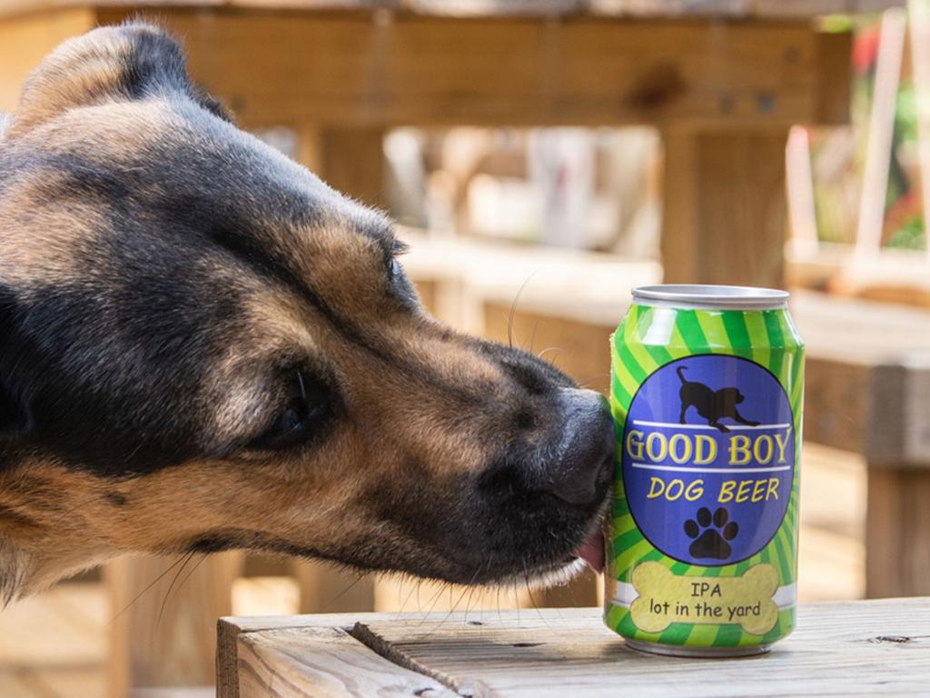 good boy dog beer