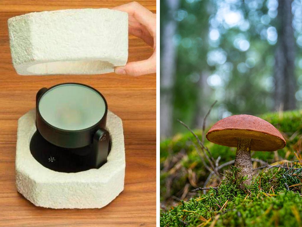 ikea fungi packaging