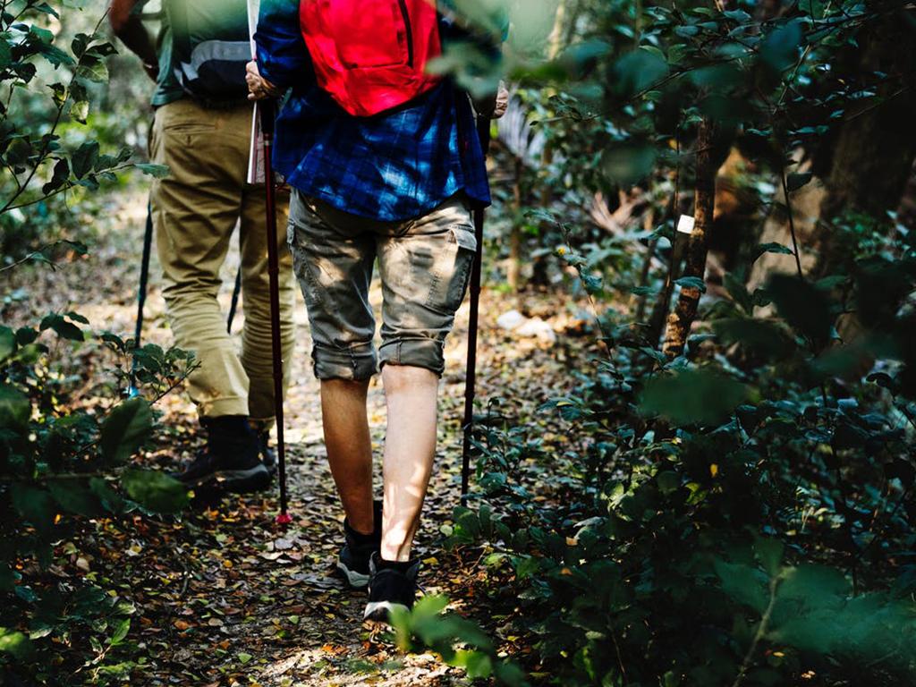 nature helps mental health