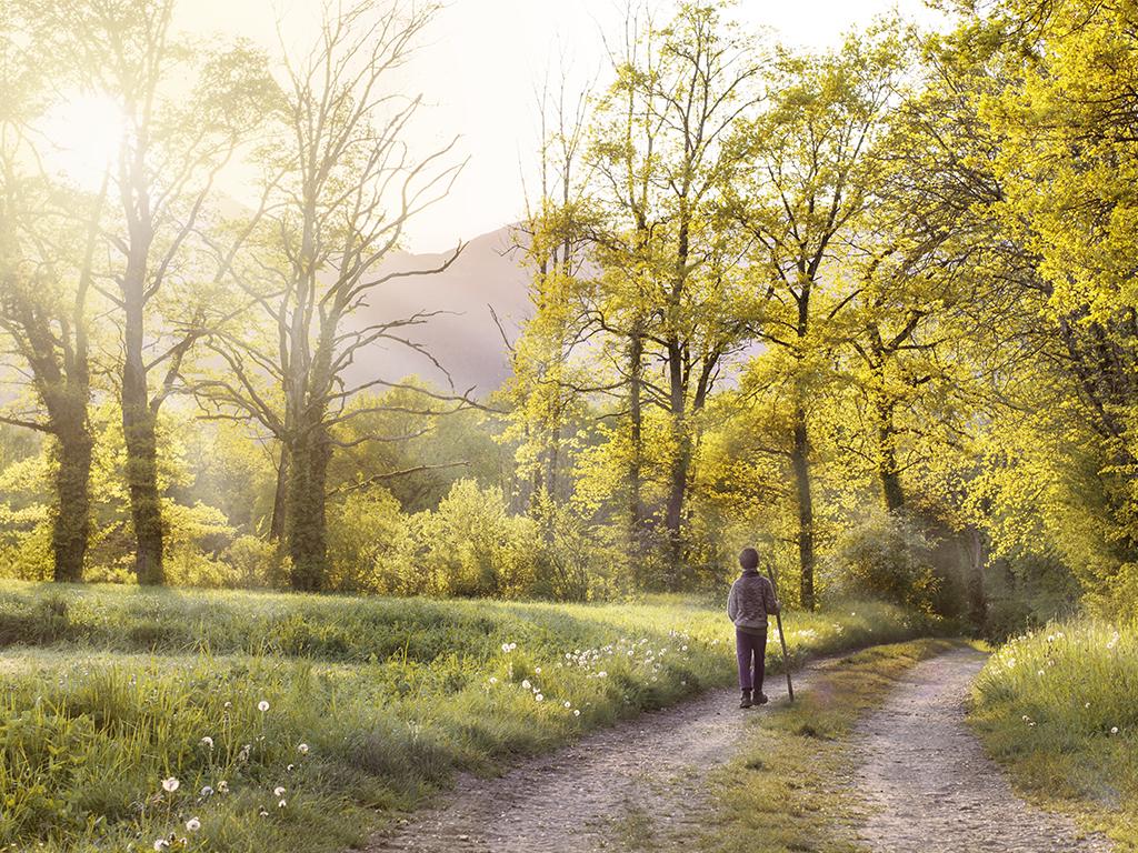 nature helps mental health