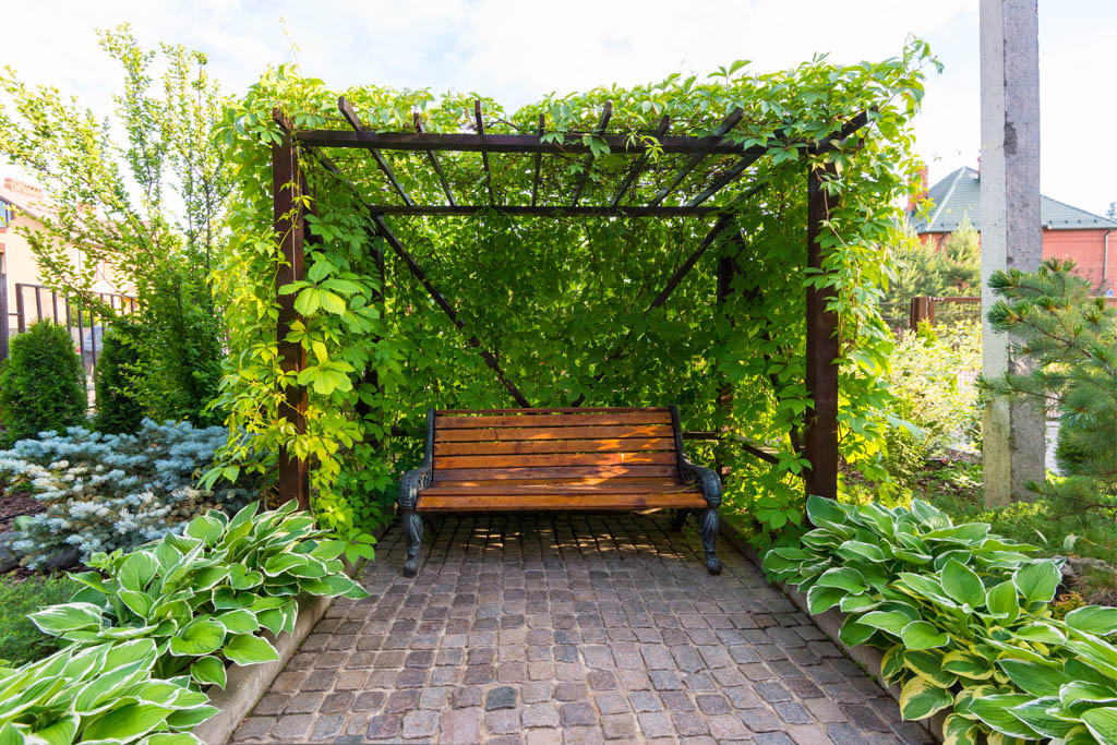 privacy in garden
