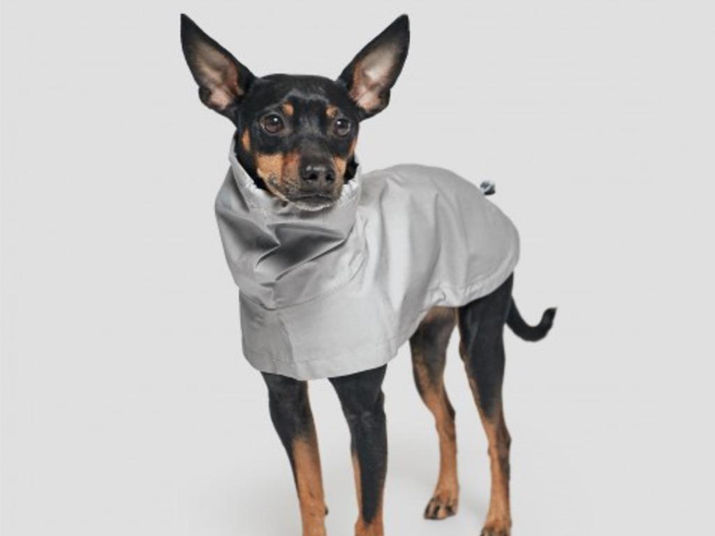 cloud7 coat collection