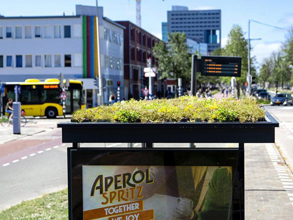 bee bus stops