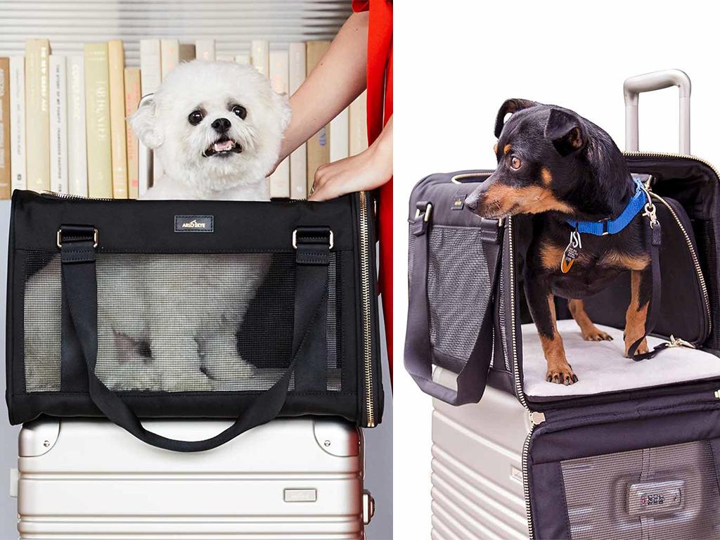 arlo skye pet carrier