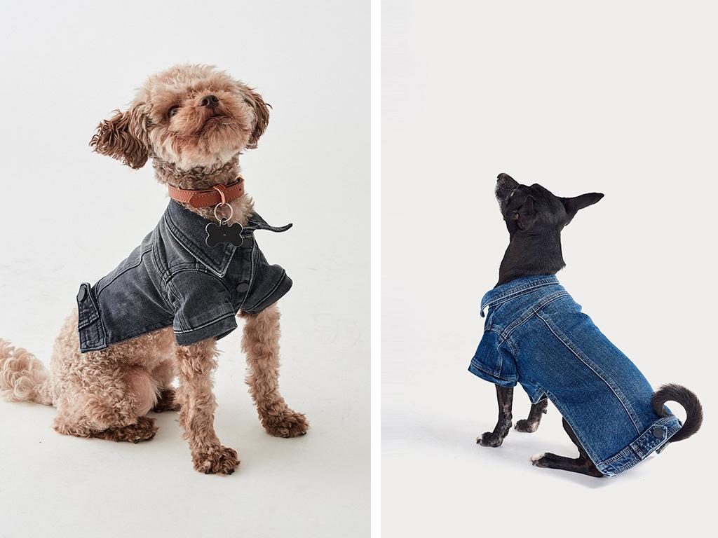 pet denim jackets