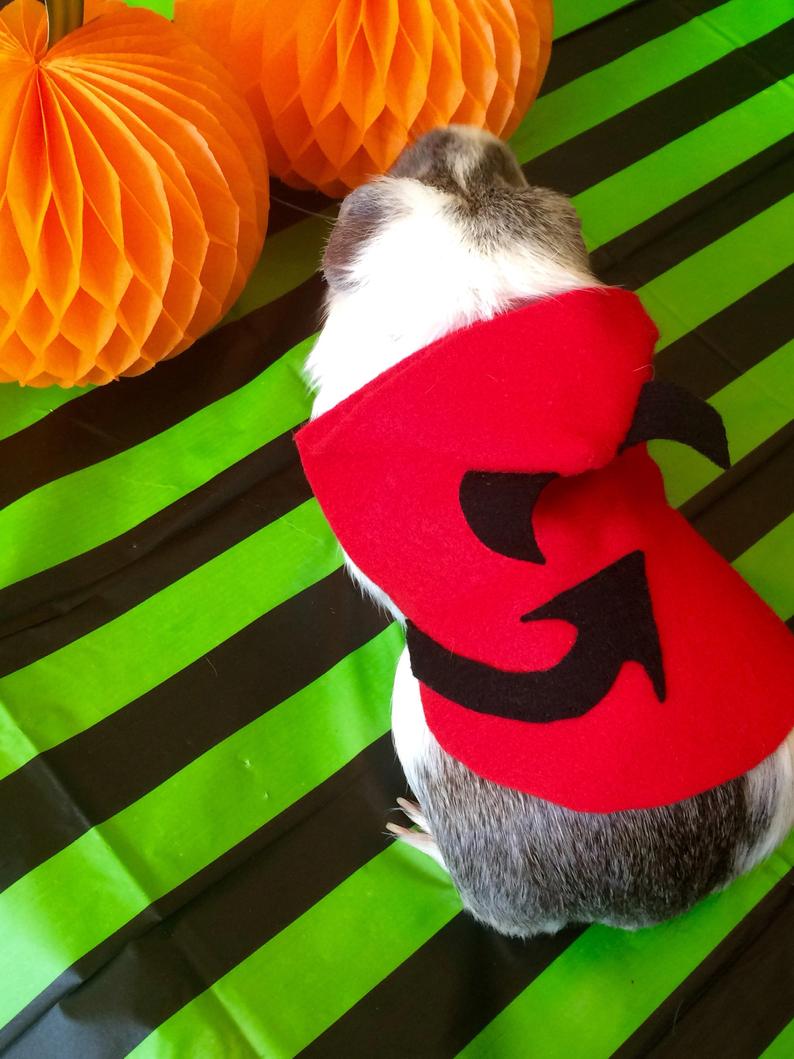 guinea pig halloween costumes uk