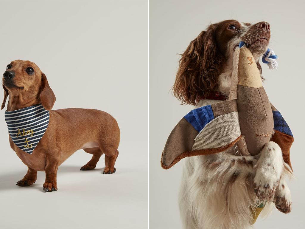 joules rosewood pet collection