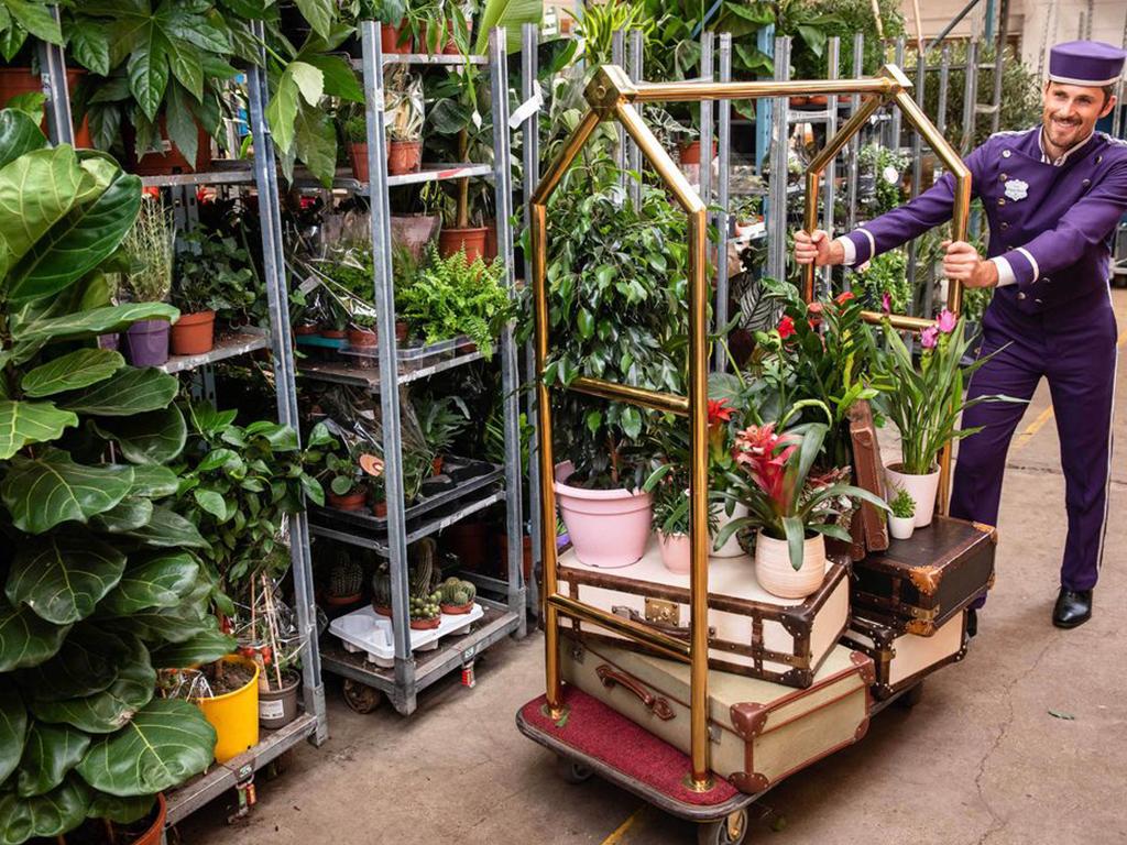 Plant Patch Hotel London Will Look after Your Plants While You’re Away
