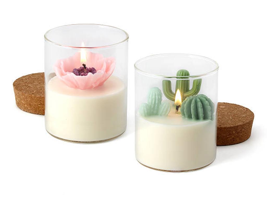terrarium candles