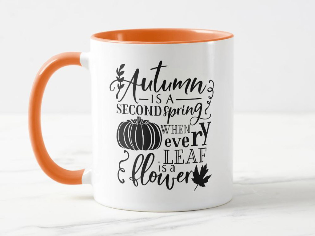 Zazzle
