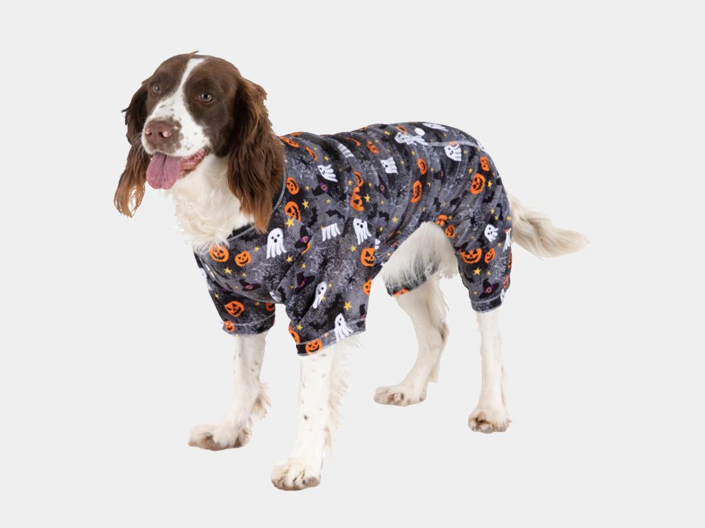 pets at home halloween costumes dogs