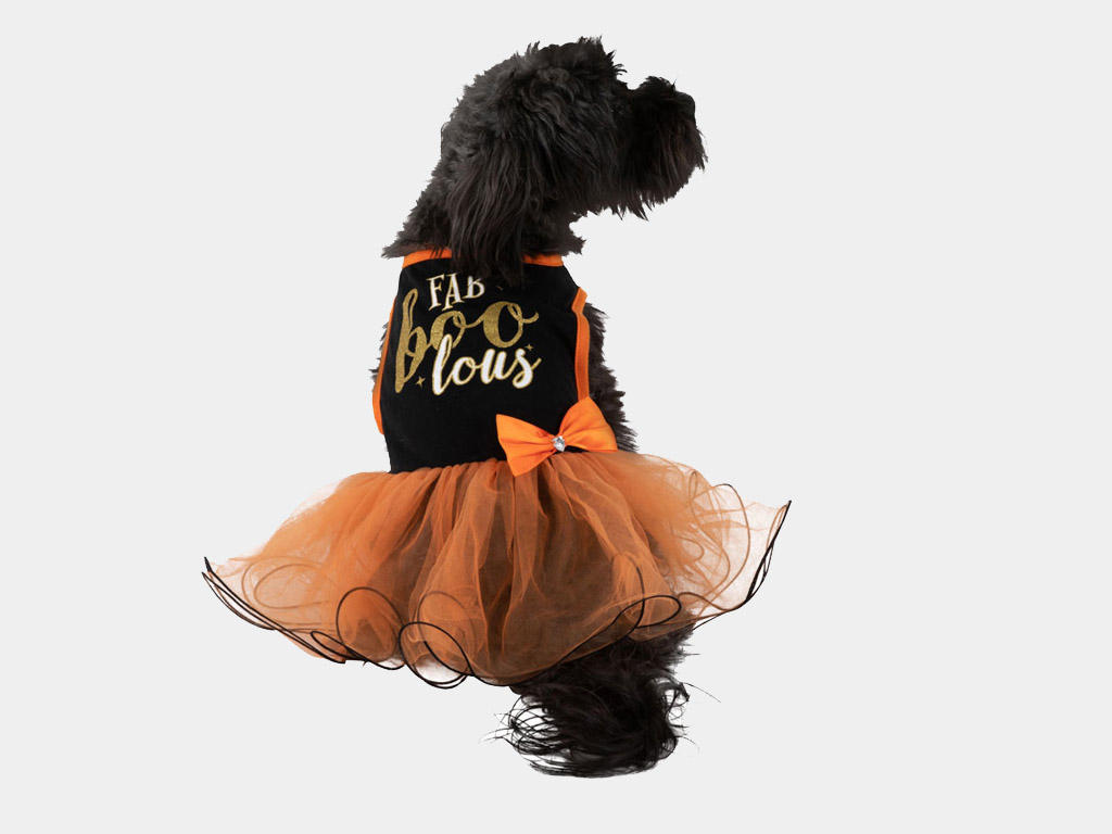 pets at home halloween costumes dogs