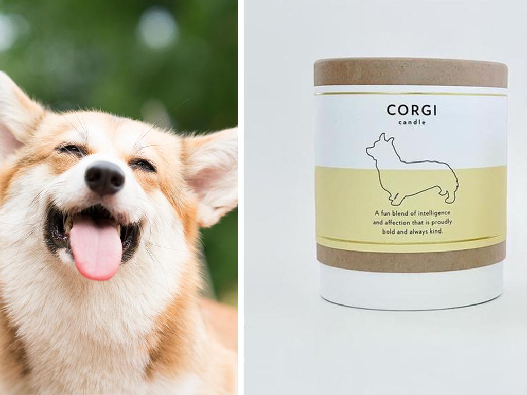 scripted fragrance dog candles