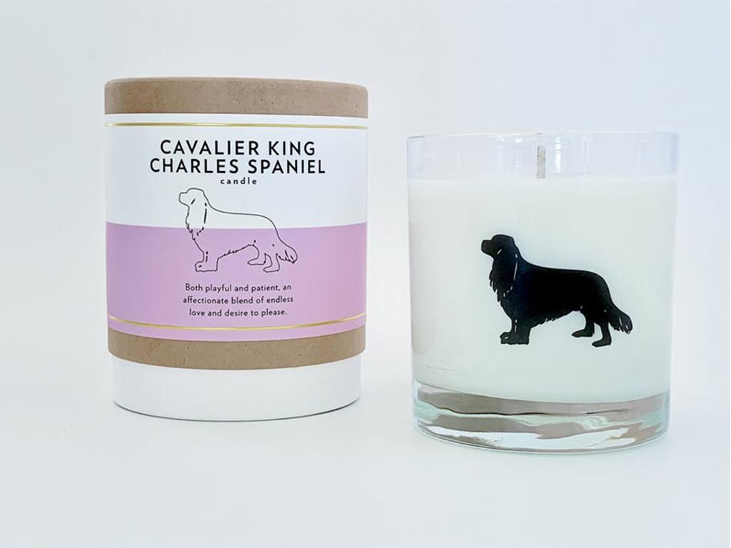 scripted fragrance dog candles