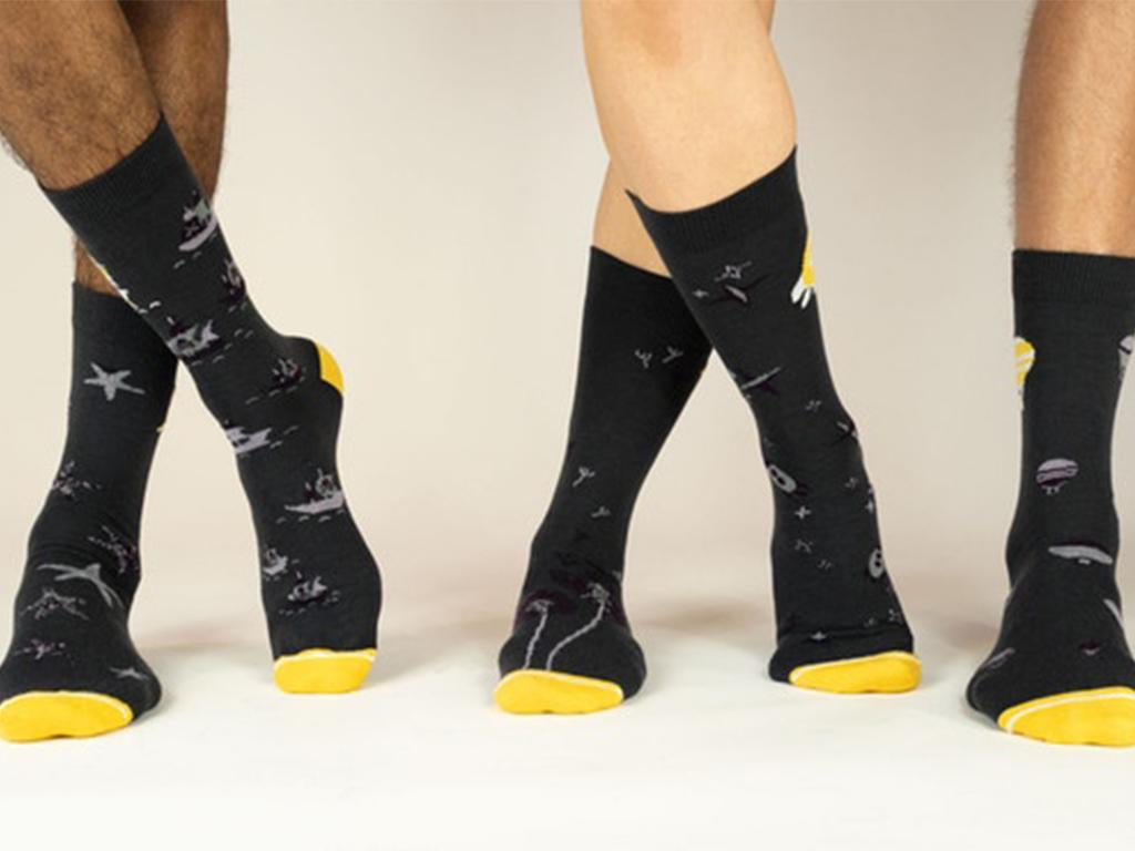teddy locks socks