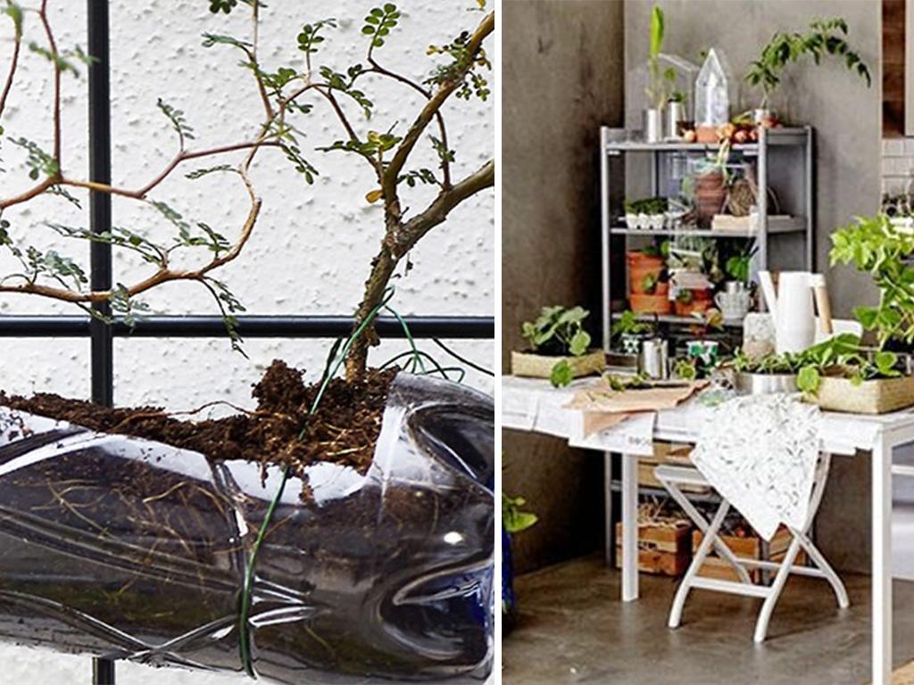 ikea lagon collection
